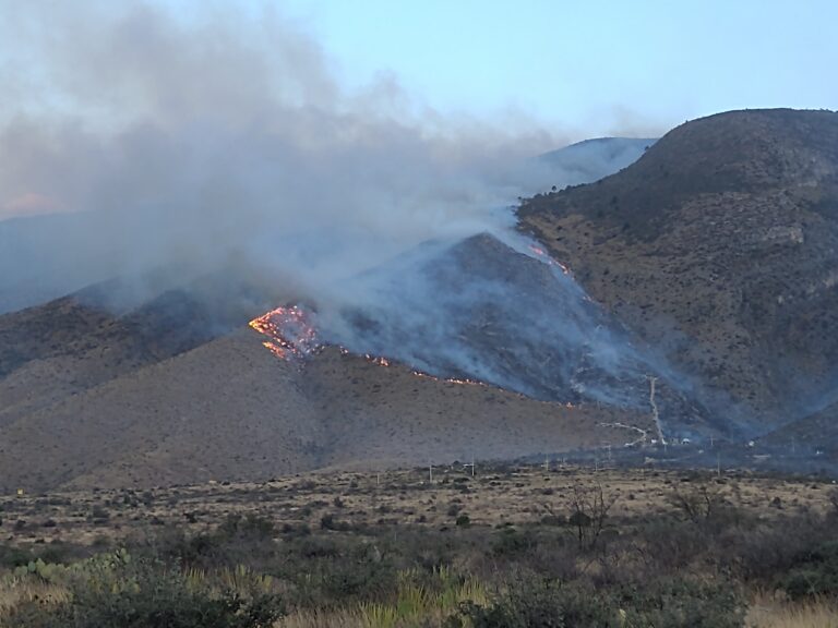 Piden en Congreso a CFE reparar o sustituir sus equipos ubicados en zonas boscosas para evitar incendios