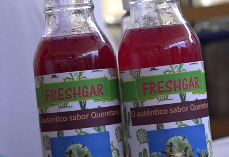 Elaboran en la UNAM refresco y leche con insumos nutritivos nacionales