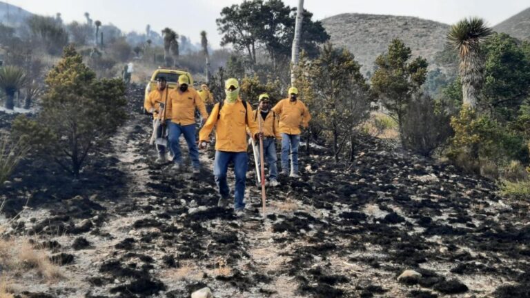 Controla Coahuila incendio en Carneros-Agua Nueva