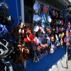 Comerciantes de zona centro en Ramos Arizpe reportan aumento de ventas en un 30%3