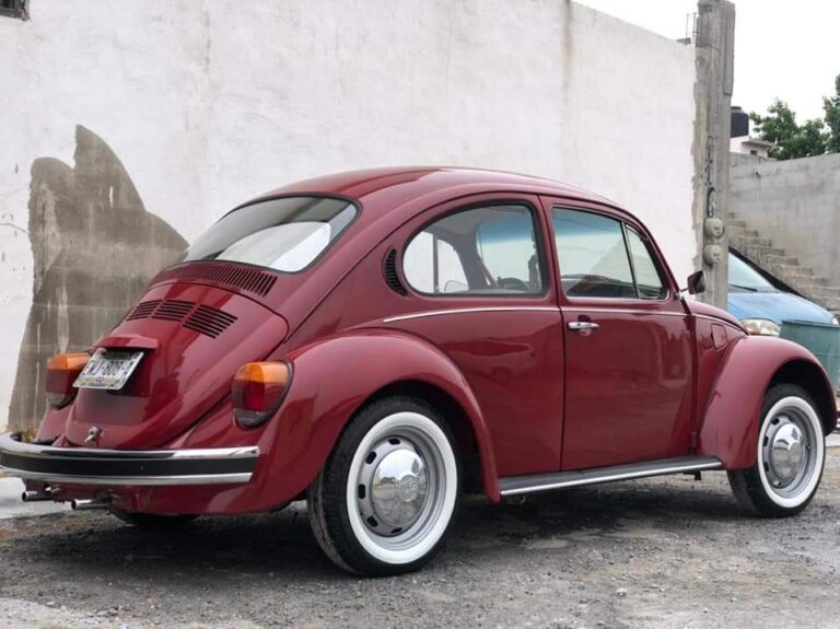 Invitan a apoyar económicamente a AMEVER participando en rifa de Vocho