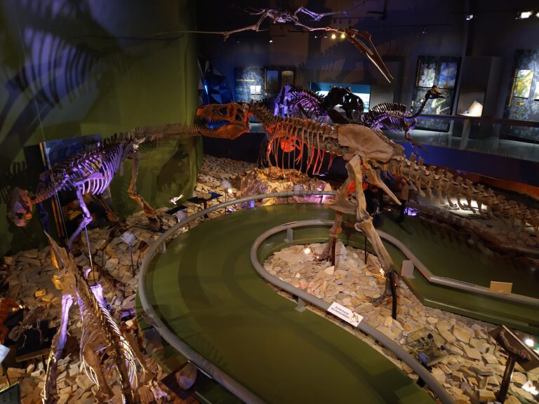 Cobrará MUDE tarifa de niño a quien vote el día 6 de junio