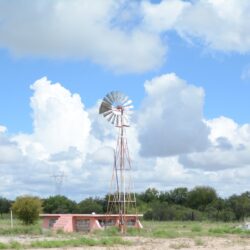 Lluvias recientes en la región centro de Coahuila favorecen a la agricultura1
