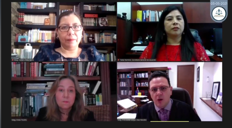 No incurrió líder del PAN en actos de discriminación contra Tere Romo: Tribunal