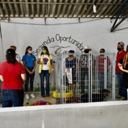 Centro ‘Mi Mascota’ en Ramos abre espacio de rehabilitación para animales en adopción 5