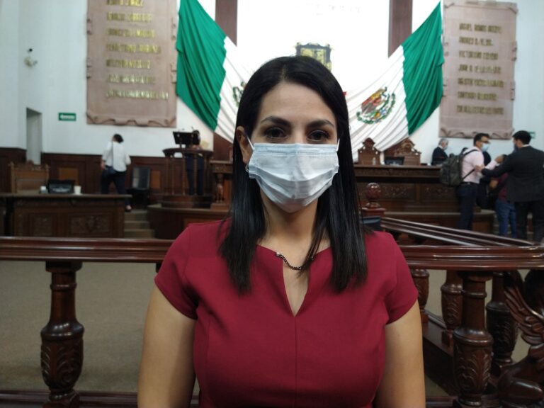 Lamenta diputada Luz Elena Morales violencia política sufrida por la ex panista Rosario Jiménez