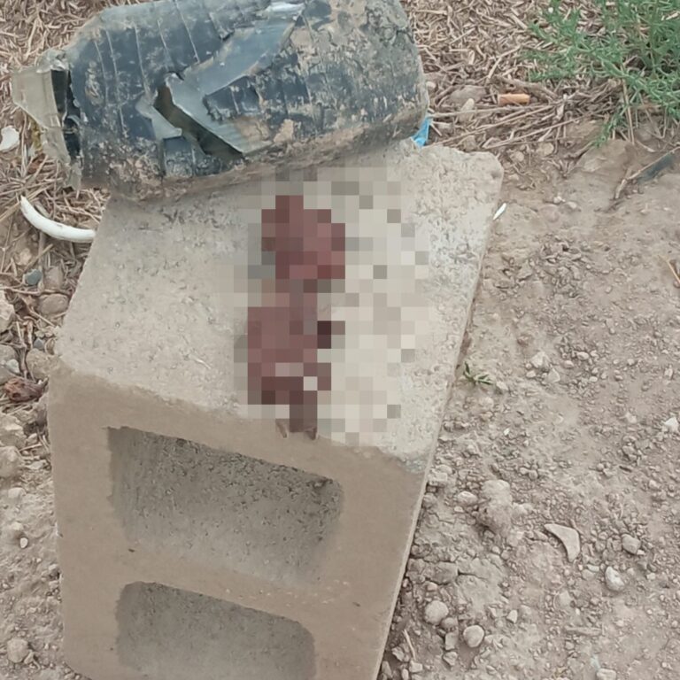 Pensaron que era un muñeco; abandonan feto humano en panteón de Saltillo