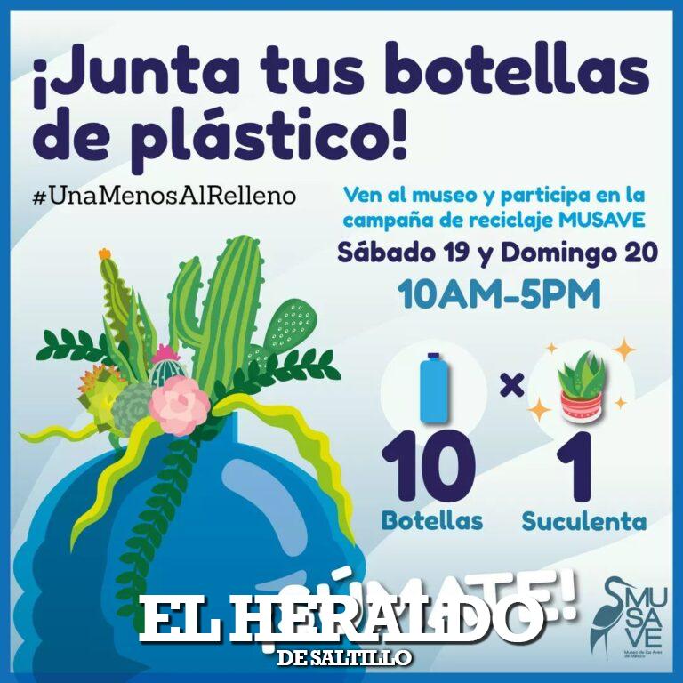 Realizará Museo de las Aves campaña de reciclaje, cambiará botellas de PET por plantas suculentas