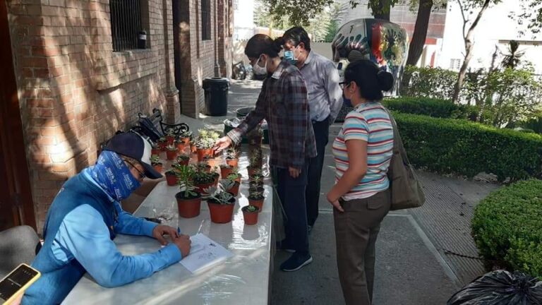 Termina con éxito campaña de intercambio de PET por plantas suculentas en el MUSAVE