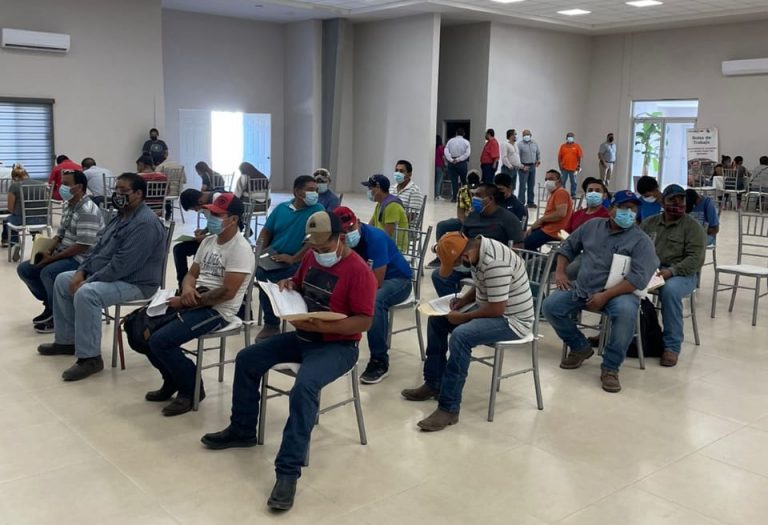 Reporta más de 7 mil altas laborales el IMSS en Coahuila 