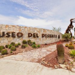 Coahuila tiene destinos turísticos seguros2
