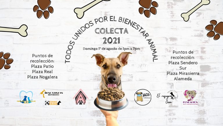 Convocan a colecta anual «Todos Unidos por el Bienestar Animal»