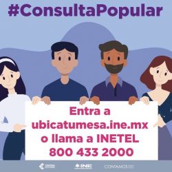 Deseas participar en la consulta popular 1