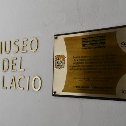 museo 6