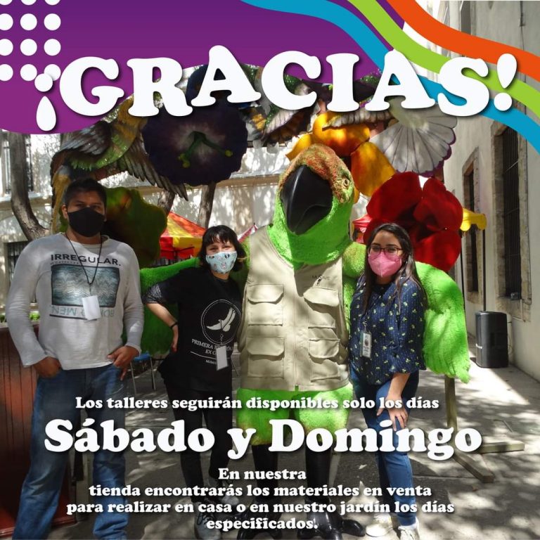 Terminan vacaciones de verano, pero talleres artísticos continúan en el MUSAVE