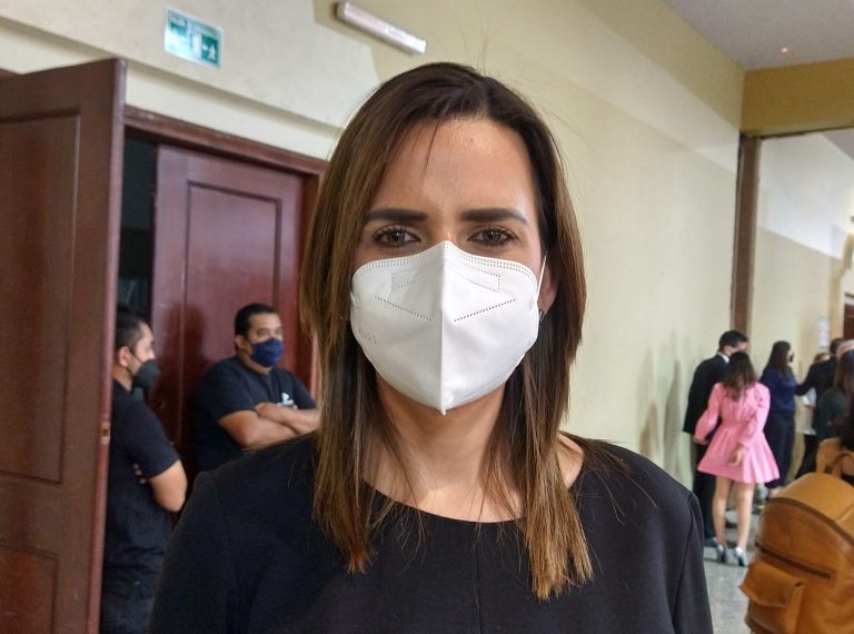 Requiere situación de AHMSA solución de fondo para evitar se siga afectando a la Región Centro: diputada