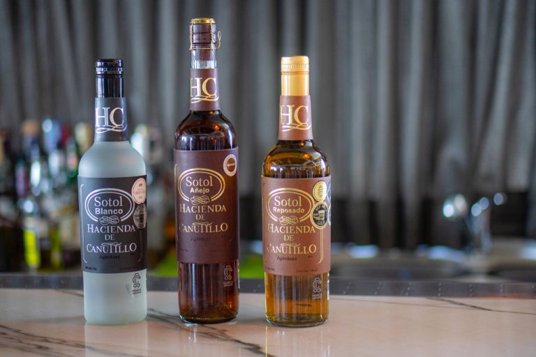 Coahuila es referente en la producción de Sotol