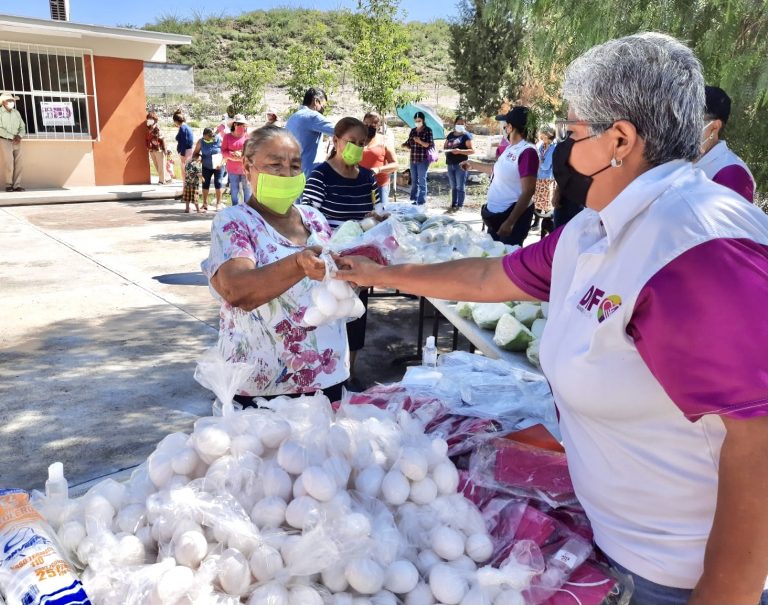 Feria DIF apoya a más de 200 familias del campo