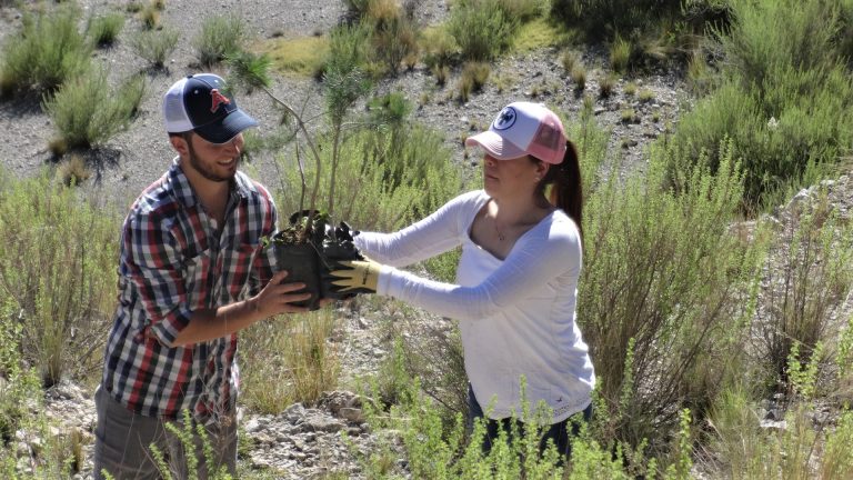 Montañistas voluntarios subirán a al Cañón de San Lorenzo a reforestar