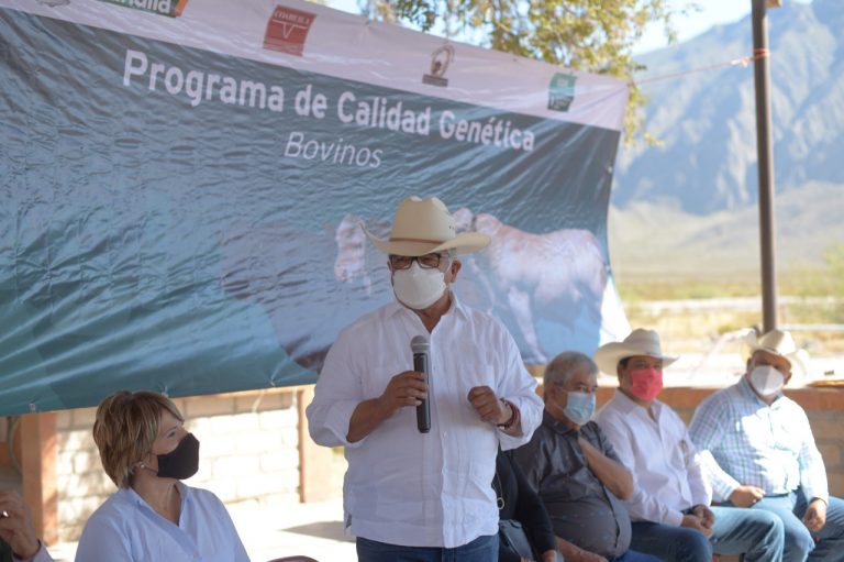 Entrega Desarrollo Rural Coahuila sementales a la Región Desierto