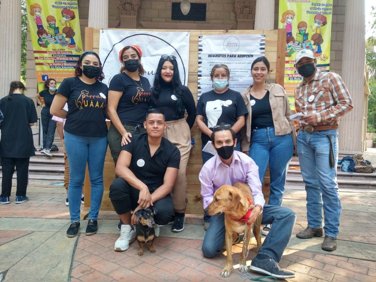 Busca Perrunos UAAAN nuevo albergue ante cierre temporal