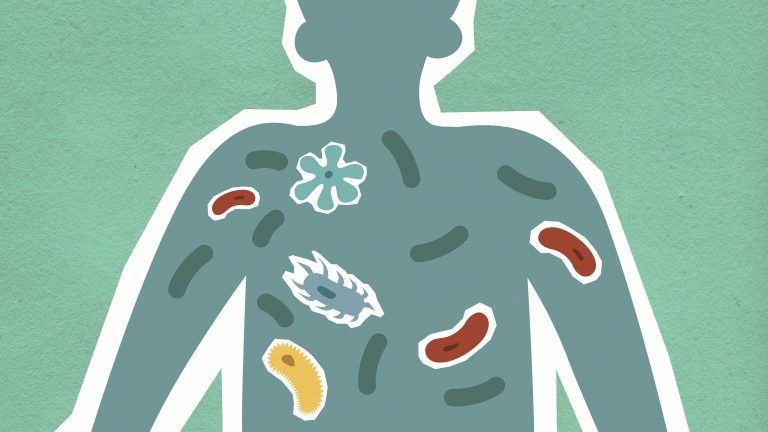 Consumo excesivo de antibióticos altera la microbiota del organismo