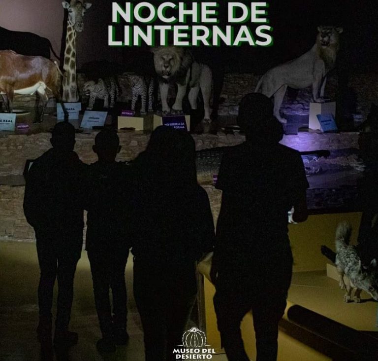 Este 1 de octubre habrá “Noche de Linternas” en el MUDE