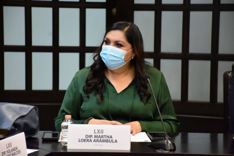 Requieren escuelas fondo catastrófico para atender robos y destrozos: diputada