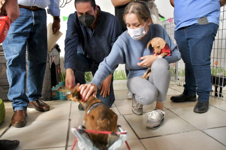 Senadora Verónica Martínez otorga beneficios al centro ‘Mi Mascota’   