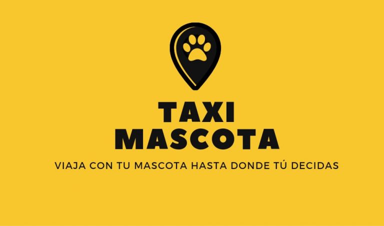Ya tiene Saltillo servicio de taxi exclusivo para mascotas