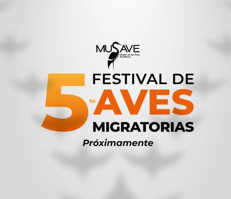 Alista MUSAVE Quinto Festival de las Aves Migratorias en modalidad virtual