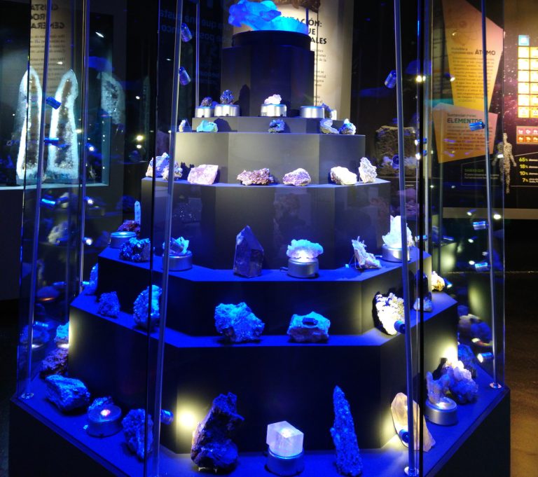 Alistan exhibición de trilobites y cristales minerales en el MUDE