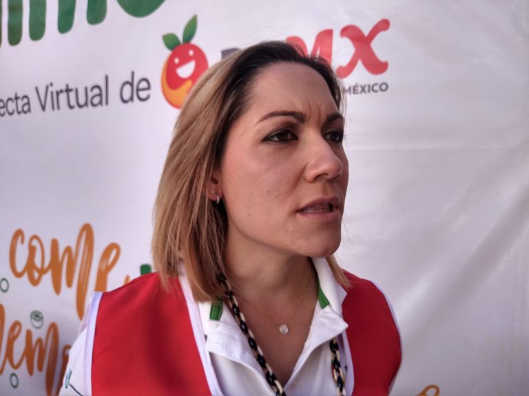 Por paros en la industria automotriz, no descarta Banco de Alimentos apoyar a operarios con despensas a bajo costo