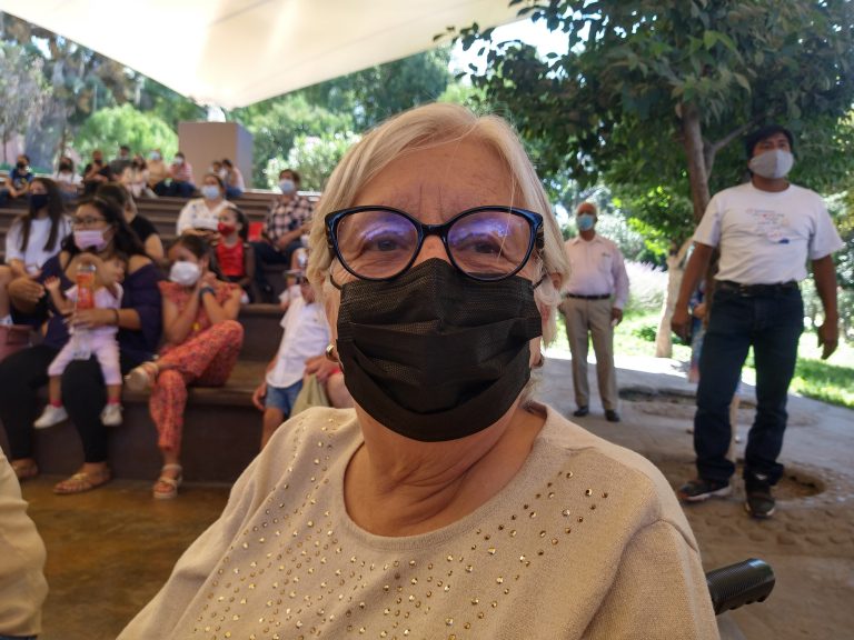 Registra Coahuila avistamiento récord de mariposas monarca