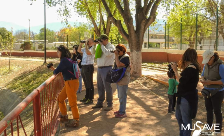 Inicia este sábado Festival de las Aves Migratorias del MUSAVE