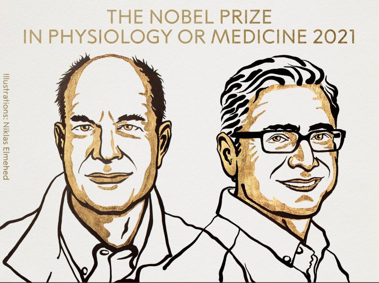 David Julius y Ardem Patapoutian ganan el Premio Nobel 2021 de Medicina