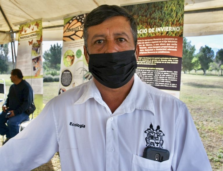 Han atendido hasta 17 reportes por abejas en escuelas