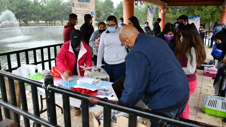 A pesar de mal clima, Saltillenses responden a jornada de esterilización masiva para mascotas 