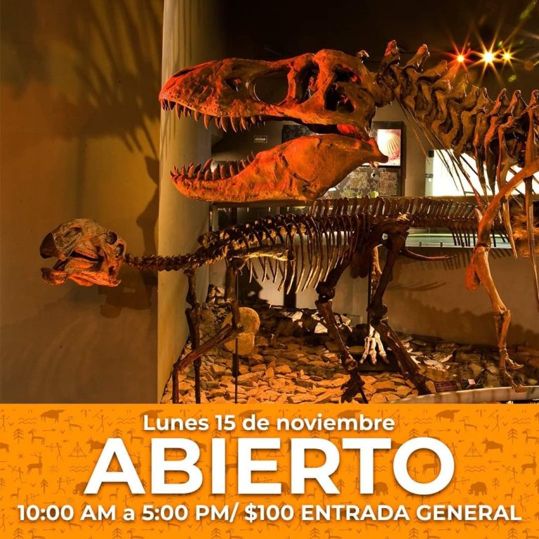 Este lunes abrirá sus puertas el Museo del Desierto con entrada general a sólo 100 pesos