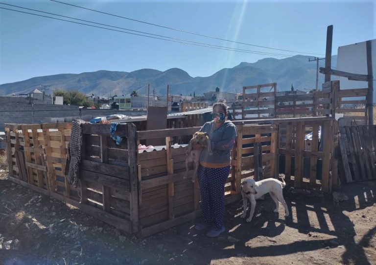 Busca saltillense construir refugio para perros rescatados de las calles