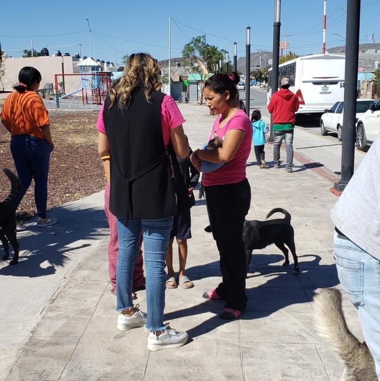 Vacunan contra la rabia a más de 2 mil 400 mascotas   