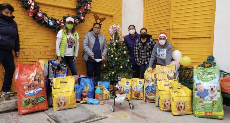 ‘Mi Mascota’ llevó a cabo posada dirigida a los animales de compañía 