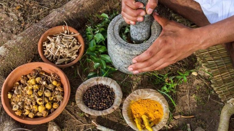 Confluyen ciencia y conocimiento ancestral para preservar la medicina tradicional