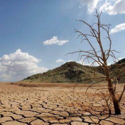 Indispensable, el cuidado de los suelos para conservar ecosistemas y cultivos
