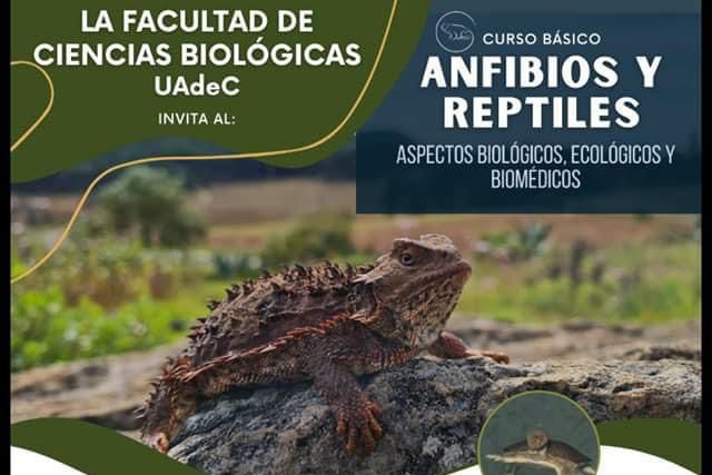 Aprende con el Curso Básico Anfibios y Reptiles: Aspectos biológicos, ecológicos y biomédicos