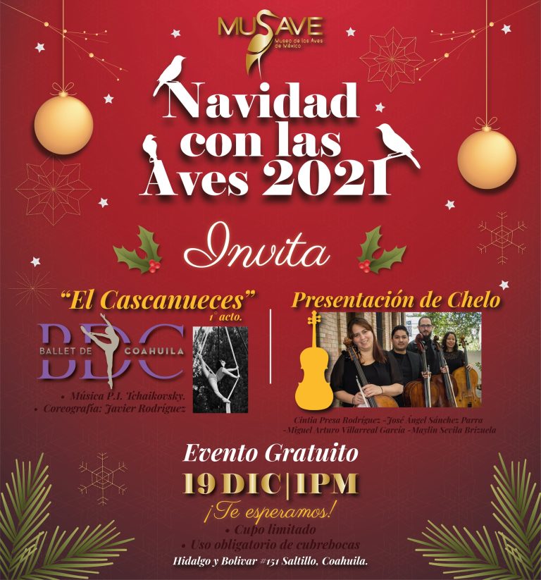 Por realizarse Festival «Navidad con las Aves» en MUSAVE