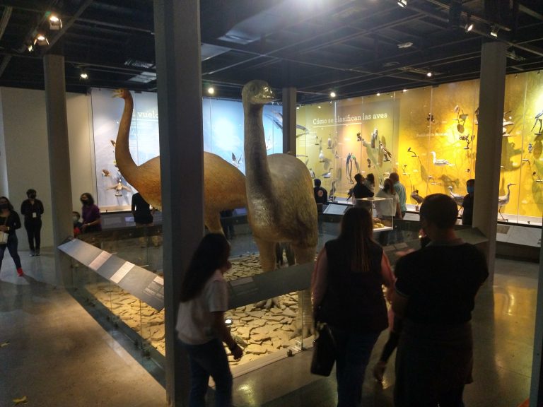 Disfrutan saltillenses inicio de año nuevo en el MUSAVE