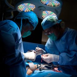 En 2021 IMSS realizó mil 791 trasplantes de órganos y tejidos, y aumentó su productividad en 212 por ciento2
