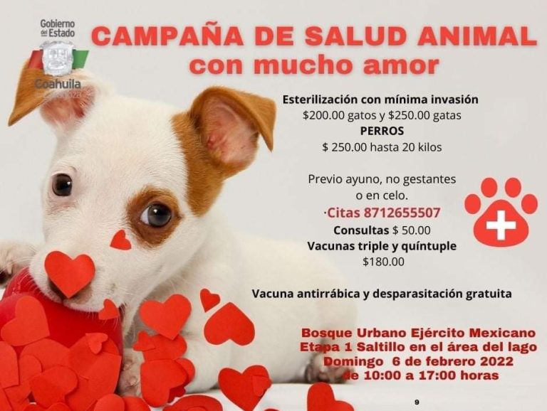 Habrá el próximo domingo campaña de salud animal “Con mucho amor” en el Bosque Urbano