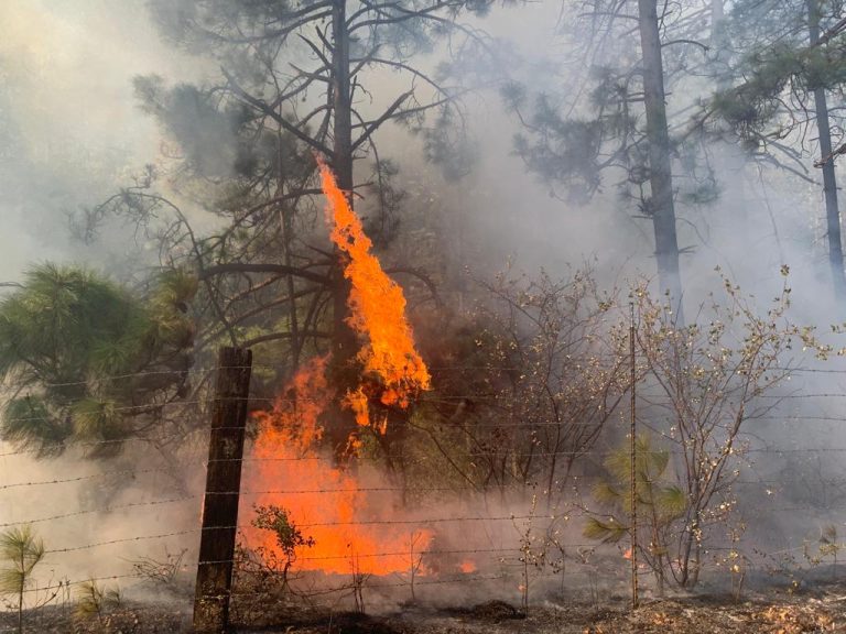 Pronostica SMA año complicado para Coahuila en materia de incendios forestales